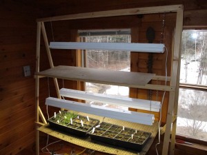 Plant Stand