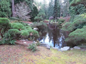 Japanese gardens : Henry Homeyer