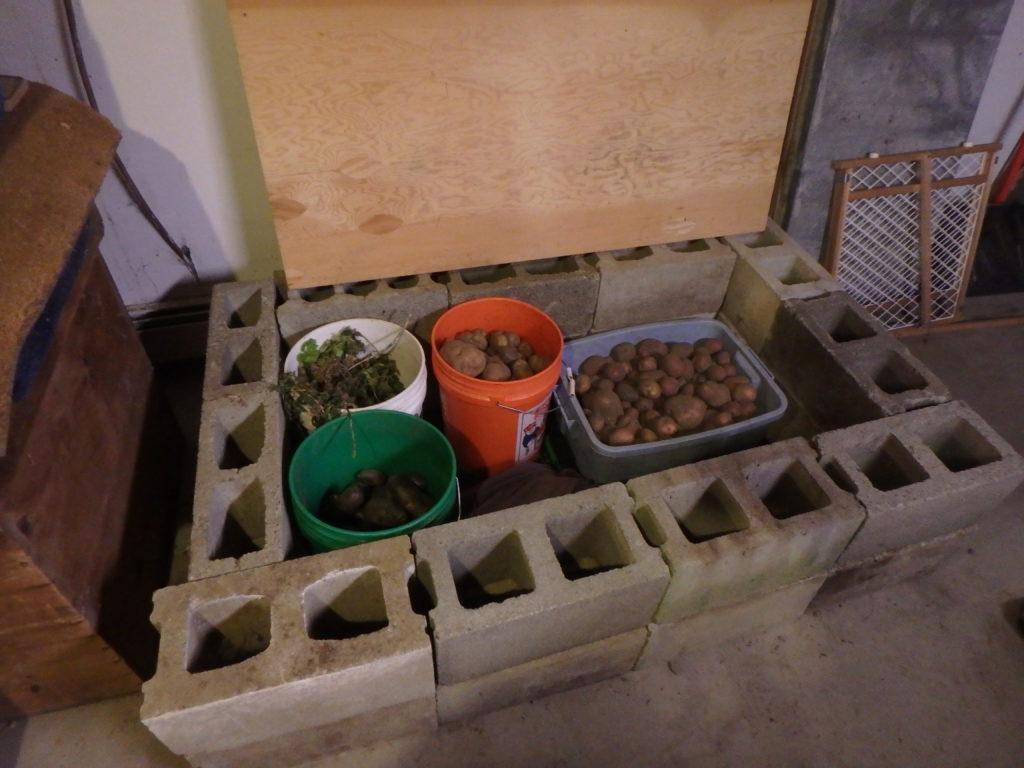 How To Build A Cold Cellar Or Vegetable Storage Bin Henry Homeyer